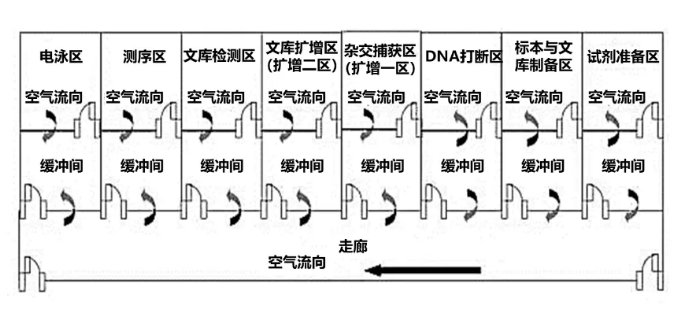肿瘤NGS诊断实验室平台主要区域及流转示意图